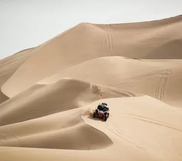 Quad biking desert horses